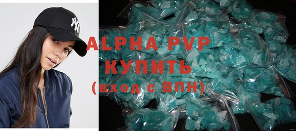 прущие грибы Белокуриха