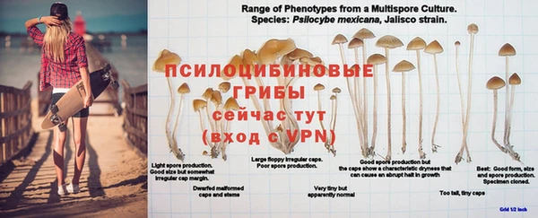круглые Саяногорск