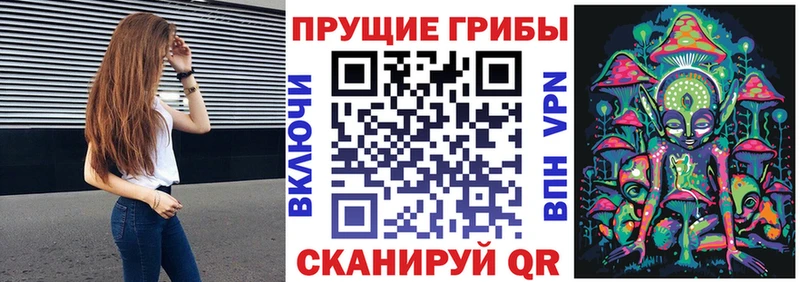hydra   Сокол  Псилоцибиновые грибы Psilocybe 