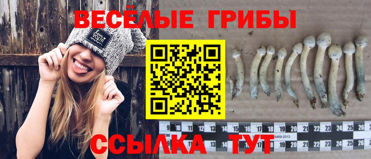 Галлюциногенные грибы MAGIC MUSHROOMS Сокол