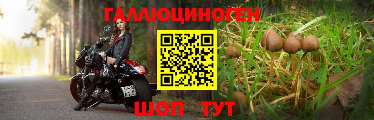 Галлюциногенные грибы мицелий  Вход с VPN  Галлюциногенные грибы прущие грибы  Сокол 